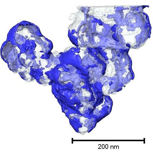 CNRSphysique's tweet image. Dans l’intimité d’une pile à combustible cnrs.fr/inp/spip.php?a…  @CEA_Recherche @CNRS @grenoble_univ /#SPrAM @CEA_Leti