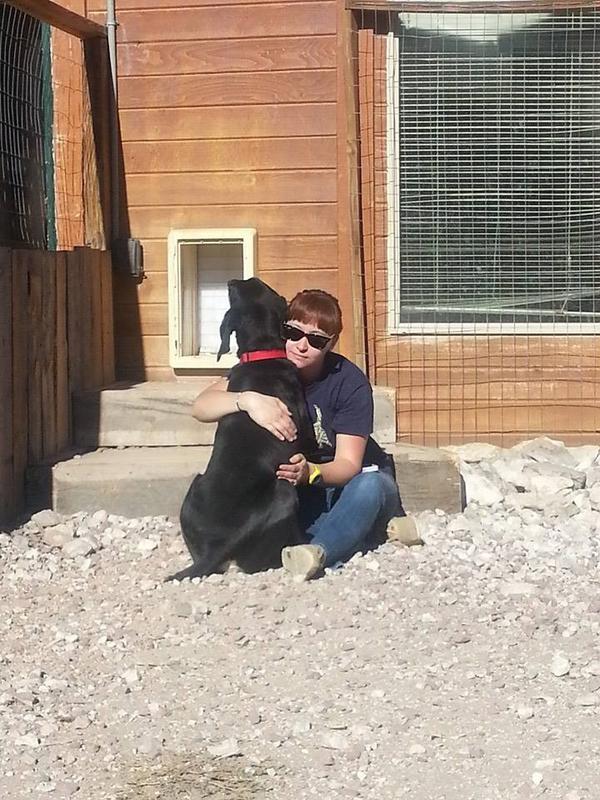 Inst4HumAnimal's tweet image. And the dogs are looking for forever homes too! #HumanAnimalBond #humananimalconnection