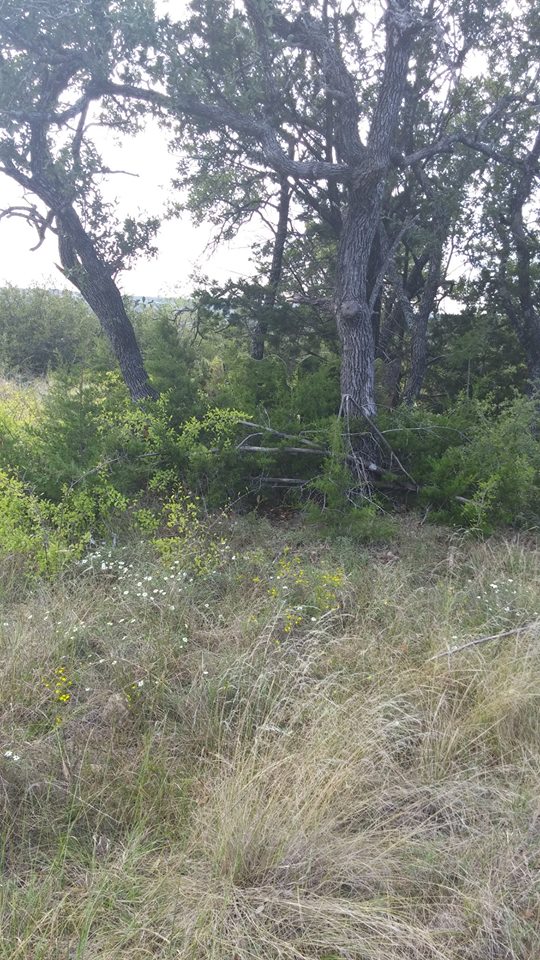 GhostBlind's tweet photo. You will have to zoom in real close to find the GhostBlind in this one. http://t.co/bd5Y0TZqwM