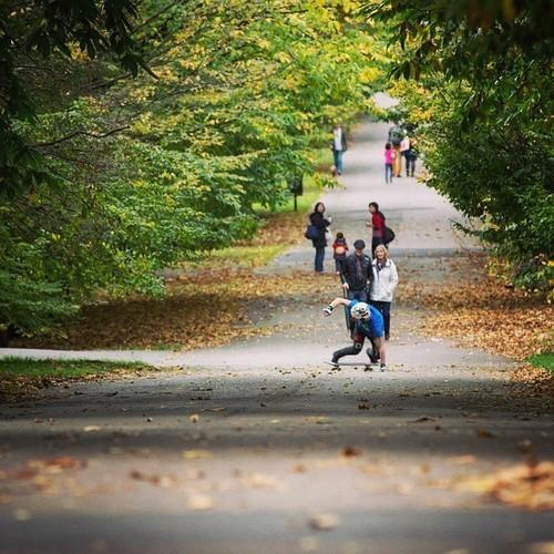 vandemlongboard's tweet image. Regram from @jorge_higgins with his #spacebyrd making the... vandemmfg.tumblr.com/post/101409037…