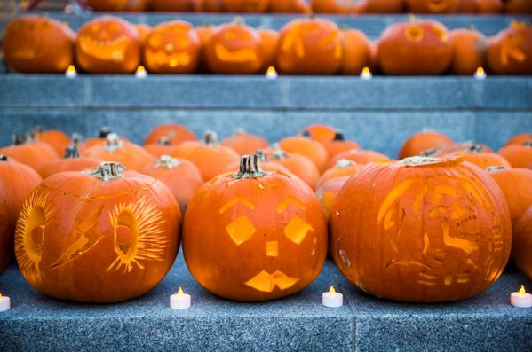 kingscrossN1C's tweet photo. Today and tonight at King's Cross, 3,000 pumpkins on display http://t.co/8gpLMW4wCM #PumpkinsKX http://t.co/ADD5Uig7gH