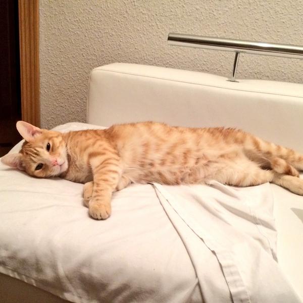 conchimf84's tweet photo. Tan ricamente!! 😁 http://t.co/yAORaB186J