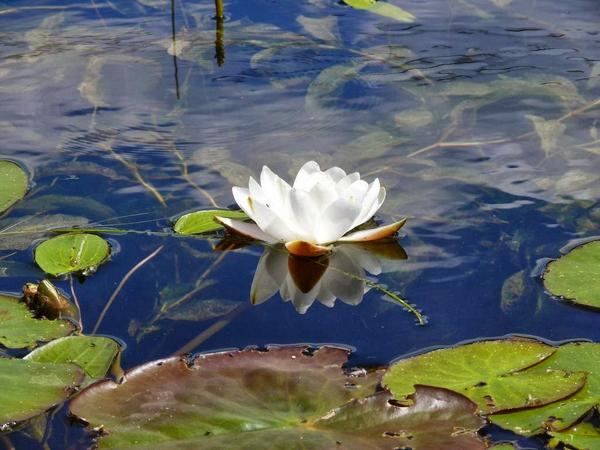 KateNikolaienko's tweet image. Enjoy Friday)
clearplayer.me/smileforme/398