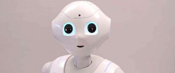 Dutchcowboys tweet media