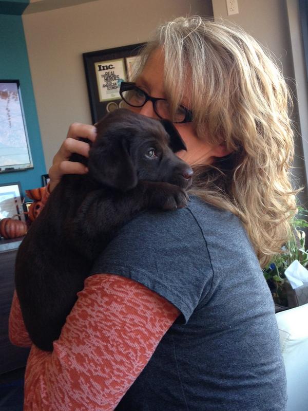 EmilyHendren's tweet photo. I am introducing Miss June Bug to the office. She's like a little productivity suck. But also a calming cuteness. http://t.co/JVbV4In3uo