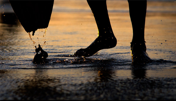 JoshUns's tweet photo. 'Surfing @ Ground Level' 

#surfphotography #sunsetphotography
#telaviv #photography #surfsummit 

@SURFER_Magazine http://t.co/E1cQl8Xuu3