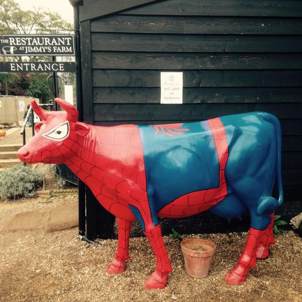 johanntasker's tweet photo. PIC: #SpiderCow http://t.co/02vFM6VXh6