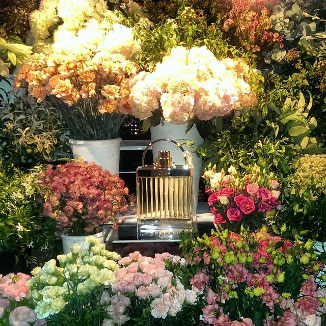 Maison de Fleurs Ltd (MdeFleursLtd) Twitter