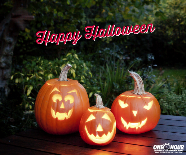 HarrisOneHour's tweet image. 