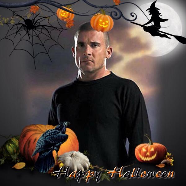 #FF_ 🎃Halloween_SPECIALツ to 

<a href="/LukeSawAnew_RP/">Luke Sawyer RP</a> 

Follow and watch his story unfold 5 years after Freed!