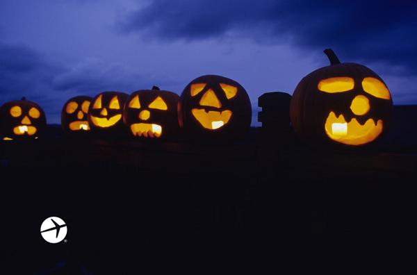 ExpediaBE's tweet photo. Angsthazen kunnen maar beter op hun hoede zijn vanavond... http://t.co/5oQtJE14bq