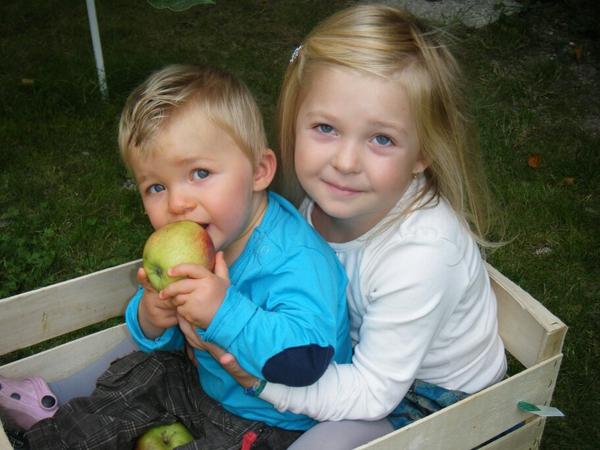 Stephane Viry tweet media