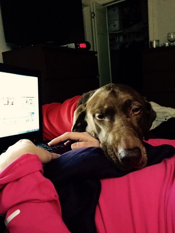 lgallaaa's tweet image. I wish I could "work from home" like @heyybetch does