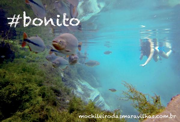DanMochileiro's tweet photo. Começando a gravar a 2ª temp. d #omochileiro, da @tvgazetaoficial ! 1º lugar: #bonito! ;) Tô chegando @BonitoHostel ! http://t.co/ixHSbVKTum