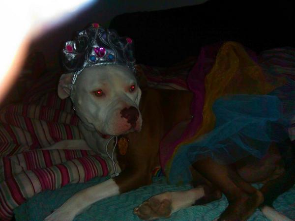 Princess Sophia says Happy Halloween