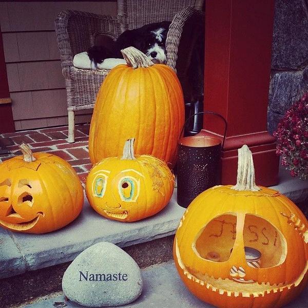 Lookout Farm tweet media