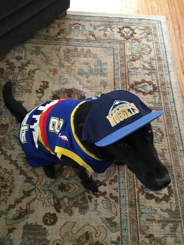 denver nuggets dog jersey