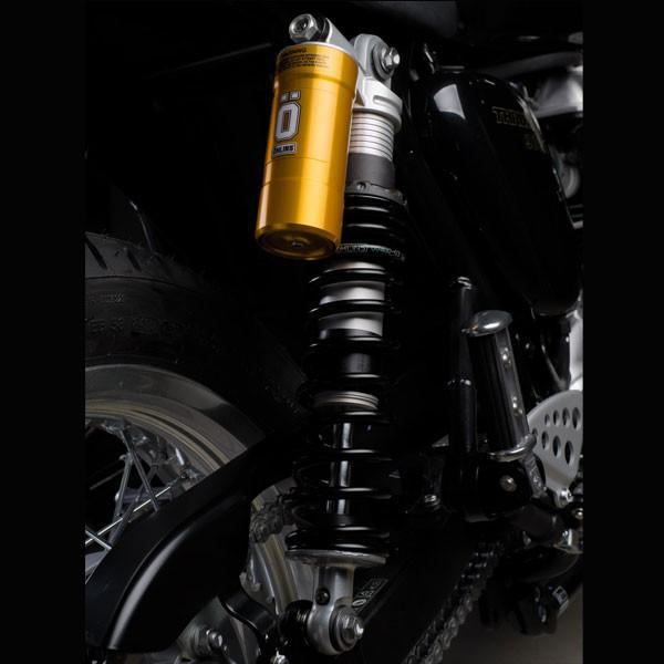 harley davidson big dog motorcycle