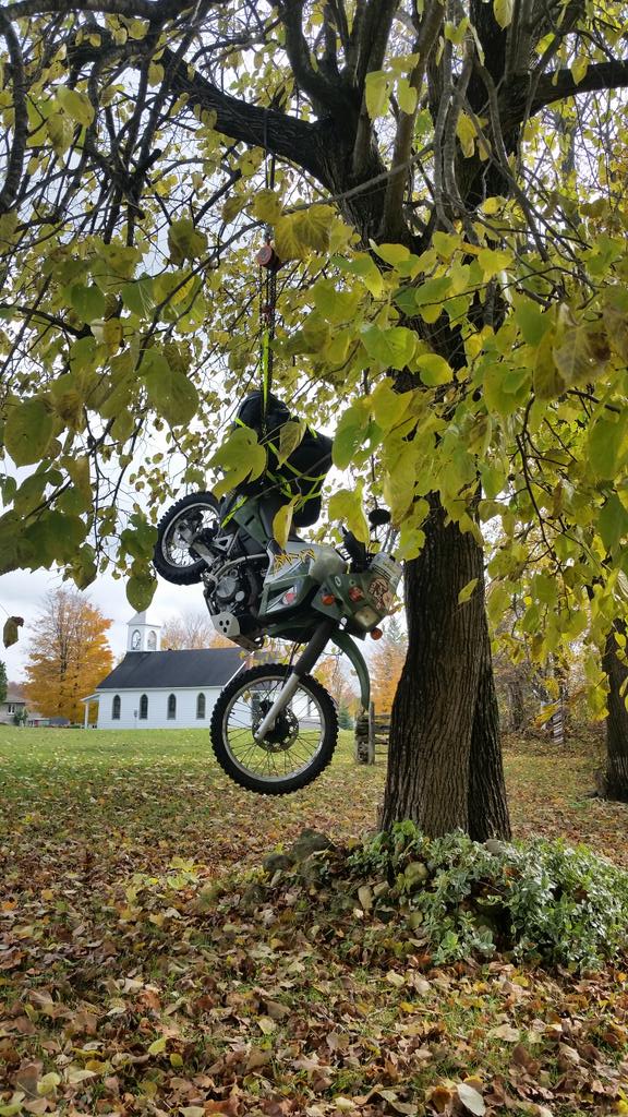 OliverSolaro's tweet photo. Burwash http://t.co/ghbc4Ao7dn via @@whataride247

Happy Halloween http://t.co/RDNXbcyYI8