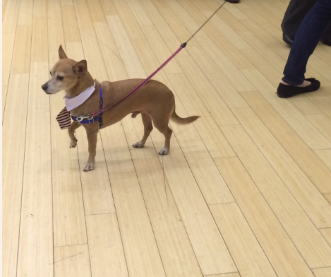 AMZwecker tweet picture