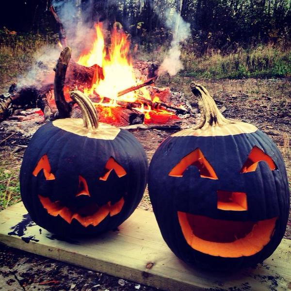 Barrydowne Paint tweet media