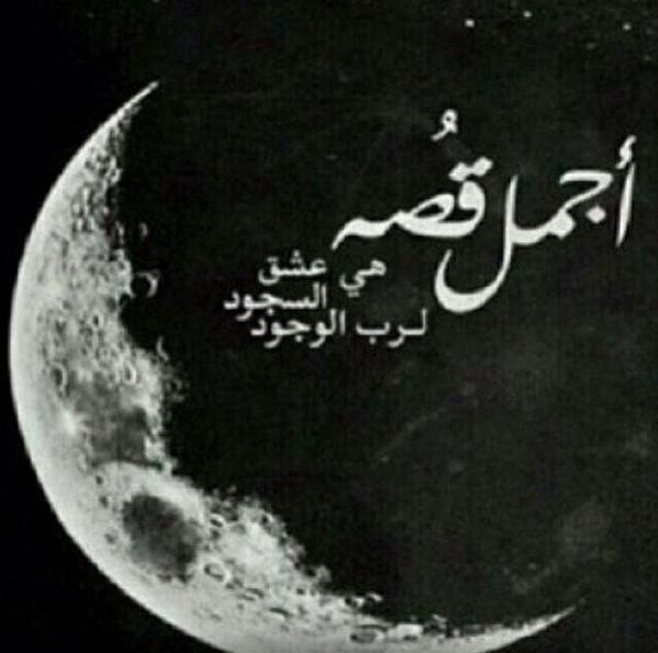 nice20141 tweet picture