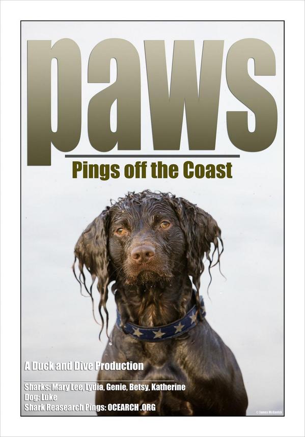 OCEARCH's tweet photo. RT @JamesMcGavick: #funwithposters #Sharks @OCEARCH #paws #BoykinSpaniel @triple9music http://t.co/WNvv0rEY2y http://t.co/YY44xVz2tE