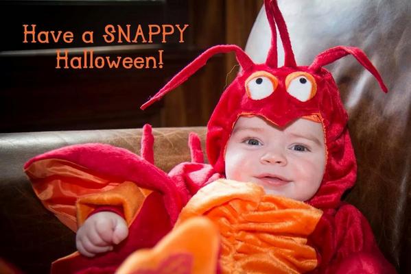 MarkWhitcher's tweet photo. http://t.co/6GOc5mmAcy