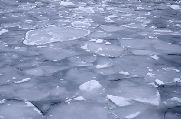 eyeonthearctic's tweet photo. Territorial expansion on #Arctic agenda for #Russia http://t.co/LEF6NU0pnF via @BarentsObserver #mapping http://t.co/uUgOHcQBvX
