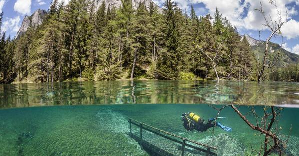 Sometimes, You Never Know What's Lying Beneath The Surface. These 30 Photos Prove It ----&amp;gt; a.dose.com/xvp