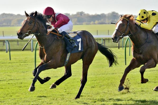 mick573tw's tweet photo. Suddyan and #shanekelly power home to win the second @NewmarketRace for #michaelstoute #HorseRacing #photography http://t.co/9YOdprUvuG