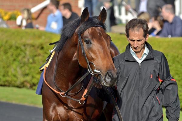 mick573tw's tweet photo. Suddyan and #shanekelly power home to win the second @NewmarketRace for #michaelstoute #HorseRacing #photography http://t.co/9YOdprUvuG