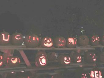 Happy Halloween!!!!! Xoxoxo ♡ ♡ http://t.co/LPQDoWxLBC<a href="/tag/ilovemydog"class="tags"><span>#ilovemydog</span></a>