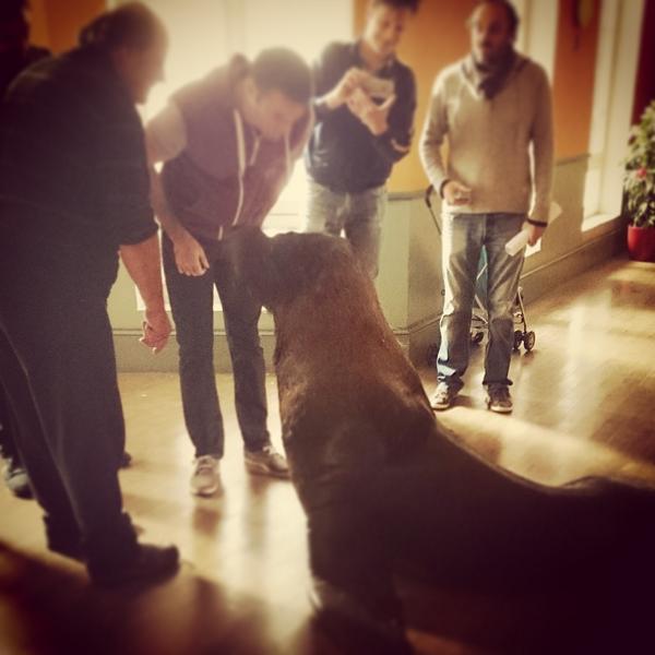 gilalma's tweet photo. Mon nouveau petit copain : Le lion de Mer avec qui j'ai fait plein de bisous💞😳 On se comprend entres mâles dominants😜 http://t.co/B55JTJfwf8