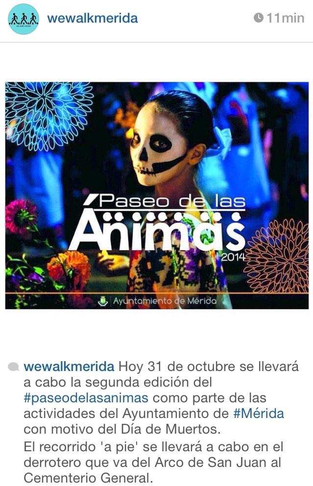 MeridaParticipa tweet picture