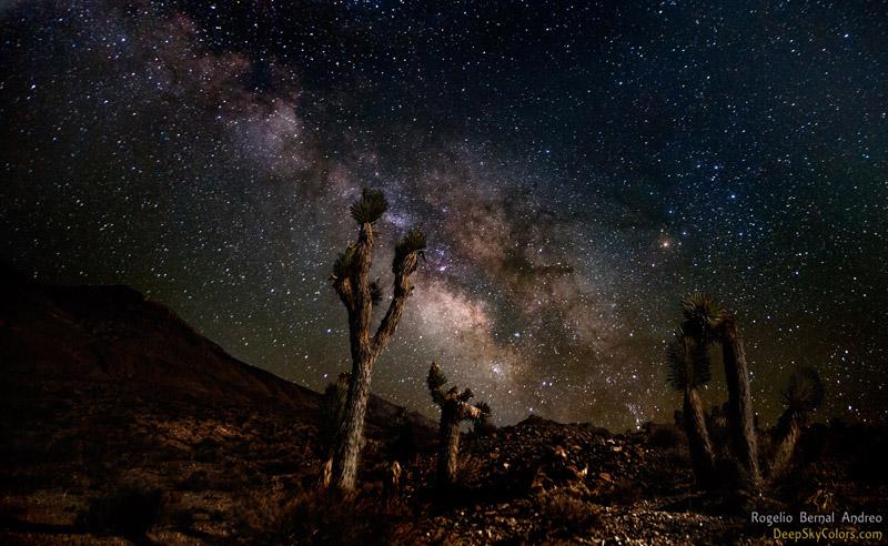 The Milky Way over Joshua Trees in the Mojave Desert
Credit: R.B. Andreo deepskycolors.com/archive/2013/0… #milkyway #mojave