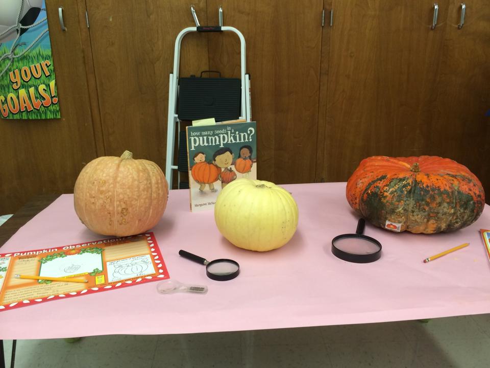 MechanicsGrove's tweet photo. There's a pumpkin mystery here at MG! Ms. Szyska class is up for the challenge. http://t.co/AjbkUPDIWl