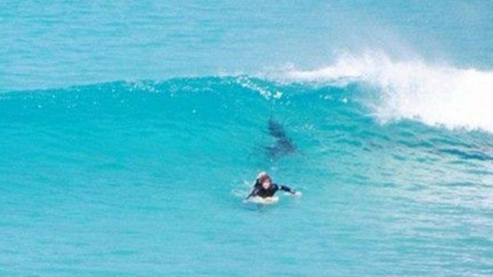 Bild News Pe Twitter Es Ist Die Welle Seines Lebens Surfer Trickst Hai Aus Und Bleibt Bis Zum Ende Total Cool Http T Co Xs0g2zj8ov Http T Co Zikqlkhjdj