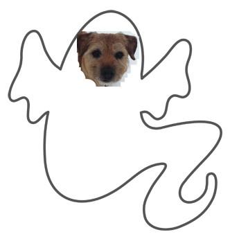 better_banter's tweet photo. http://t.co/vWuyZLXafe