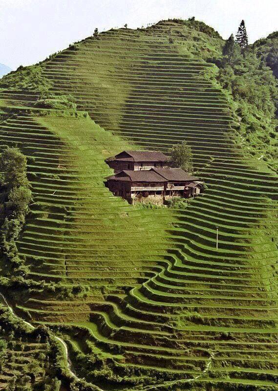 _salomo's tweet photo. China http://t.co/bHW0utX0xB