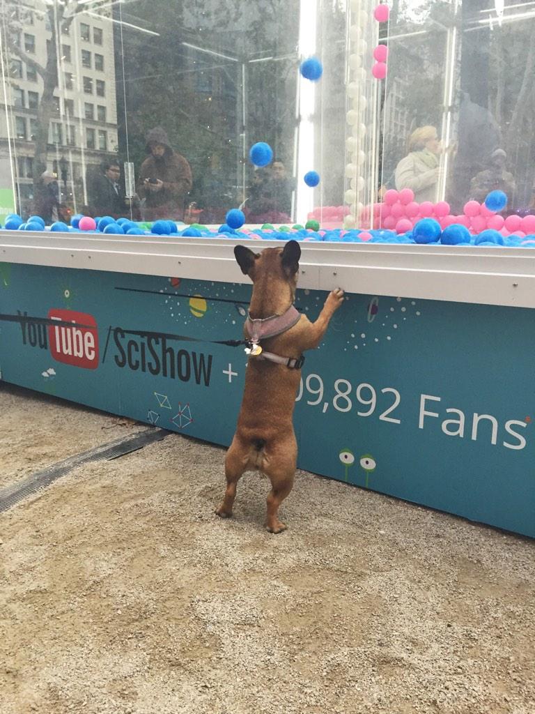 desigonzalez's tweet photo. biggest #scishow fan! http://t.co/R0hkRaq134