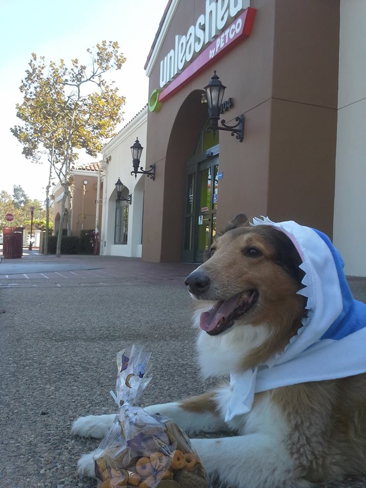 #HappyHalloween! Get a free pound of treats today with this coupon: bit.ly/FreeTreatsUNL (Pic: Charlie)