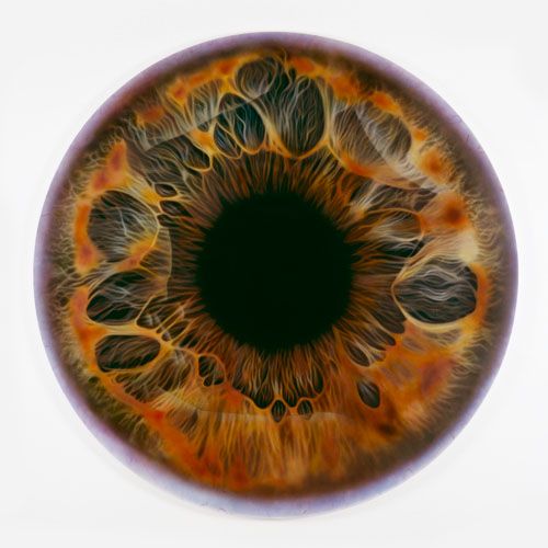 cateterdoblej's tweet photo. Llamativa imagen del iris del ojo de Marc Quinn http://t.co/nktWQuRvUT