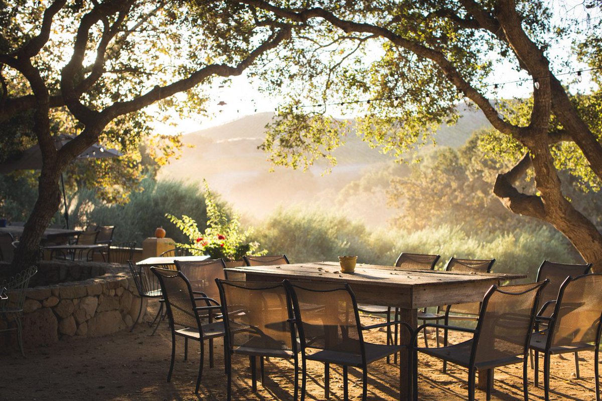 lifeandthyme's tweet photo. Harvest at @DemetriaEstate Wines—view our latest photo essay on Life &amp; Thyme: http://t.co/xTFsue72Ki http://t.co/PCvaJ9Ktie