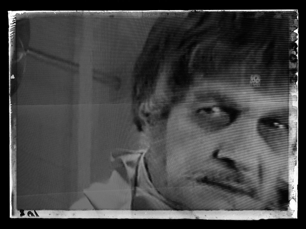 beemcog's tweet image. #Phibes is still among us