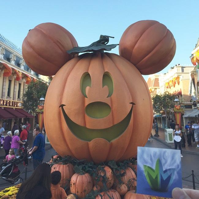 MMJMovement's tweet image. Happy Halloweed!!
From the happiest place on Earth!
#Disneyland
#MarijuanaMovement
#mmj #cannabis #legalizeit #kush