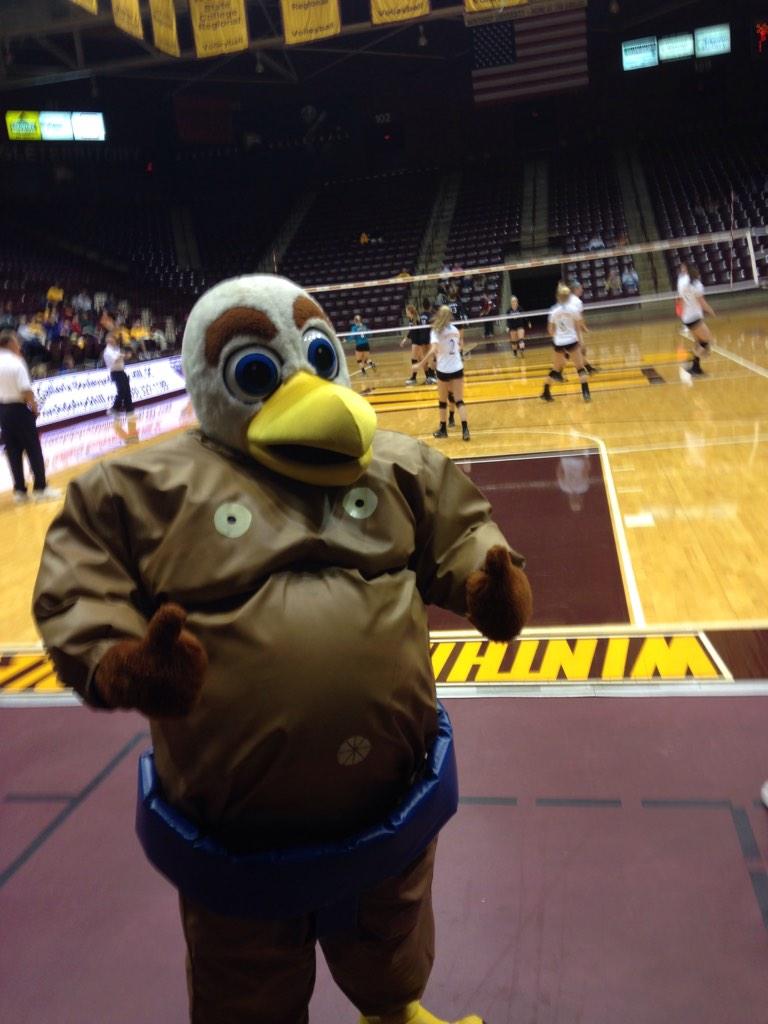 WUBigStuff's tweet photo. I need to lay off the chicken fritters #BeatCoastal http://t.co/Gr53C2YHlF