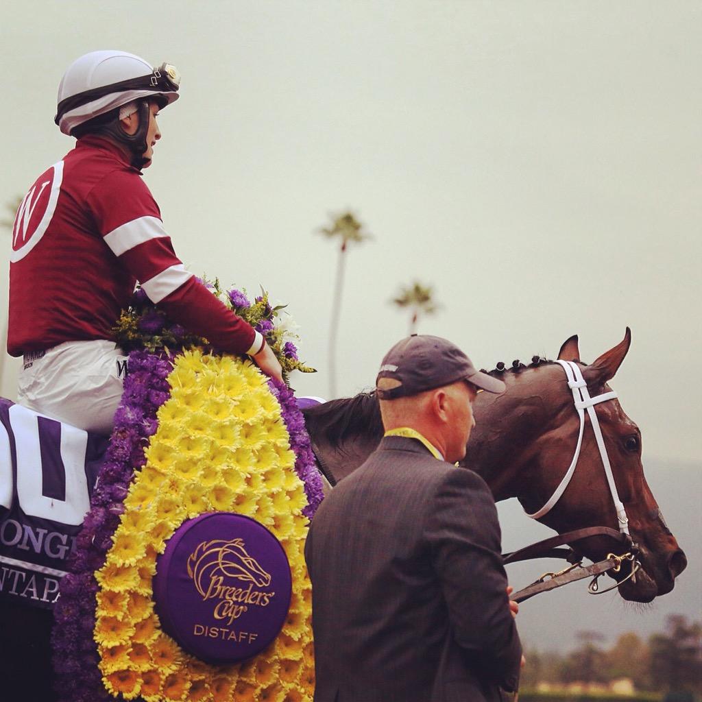 YeaItsJ_mar's tweet image. “@santaanitapark: Untapable and @RosieNapravnik win the Longines @breederscup Distaff #BC14 #BCDistaff http://t.co/ocVG8Q1ikQ”