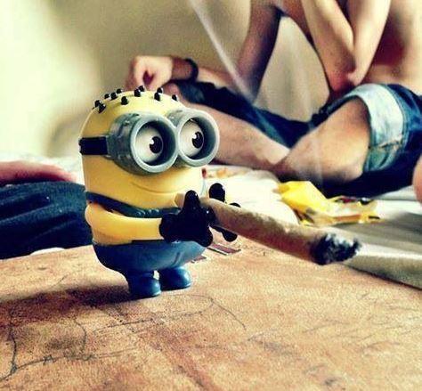 arica_andy's tweet photo. http://t.co/vET20WcAFd mejor me fumo un benbos http://t.co/k45E8XLgHT