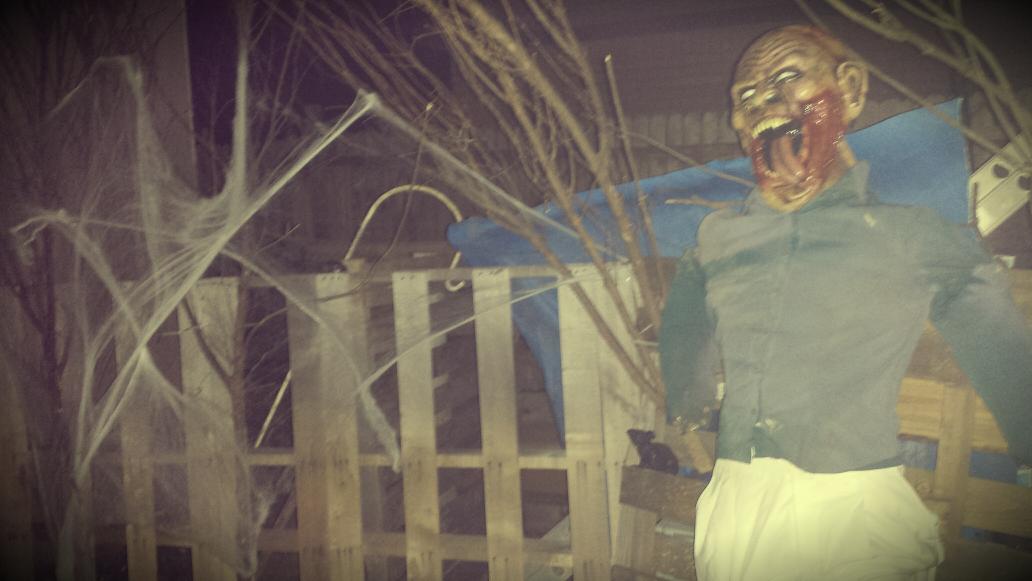 NightfalInsaneAsylum tweet media